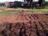 Soweto-20120604-00393
